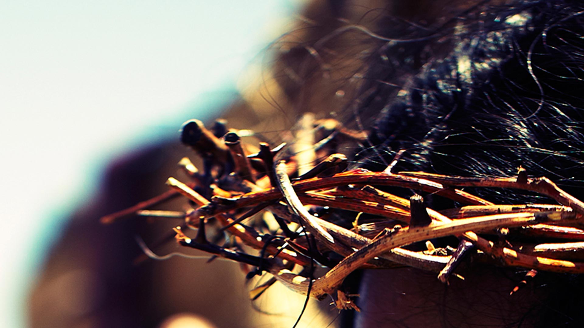 Image for Pablo's Story