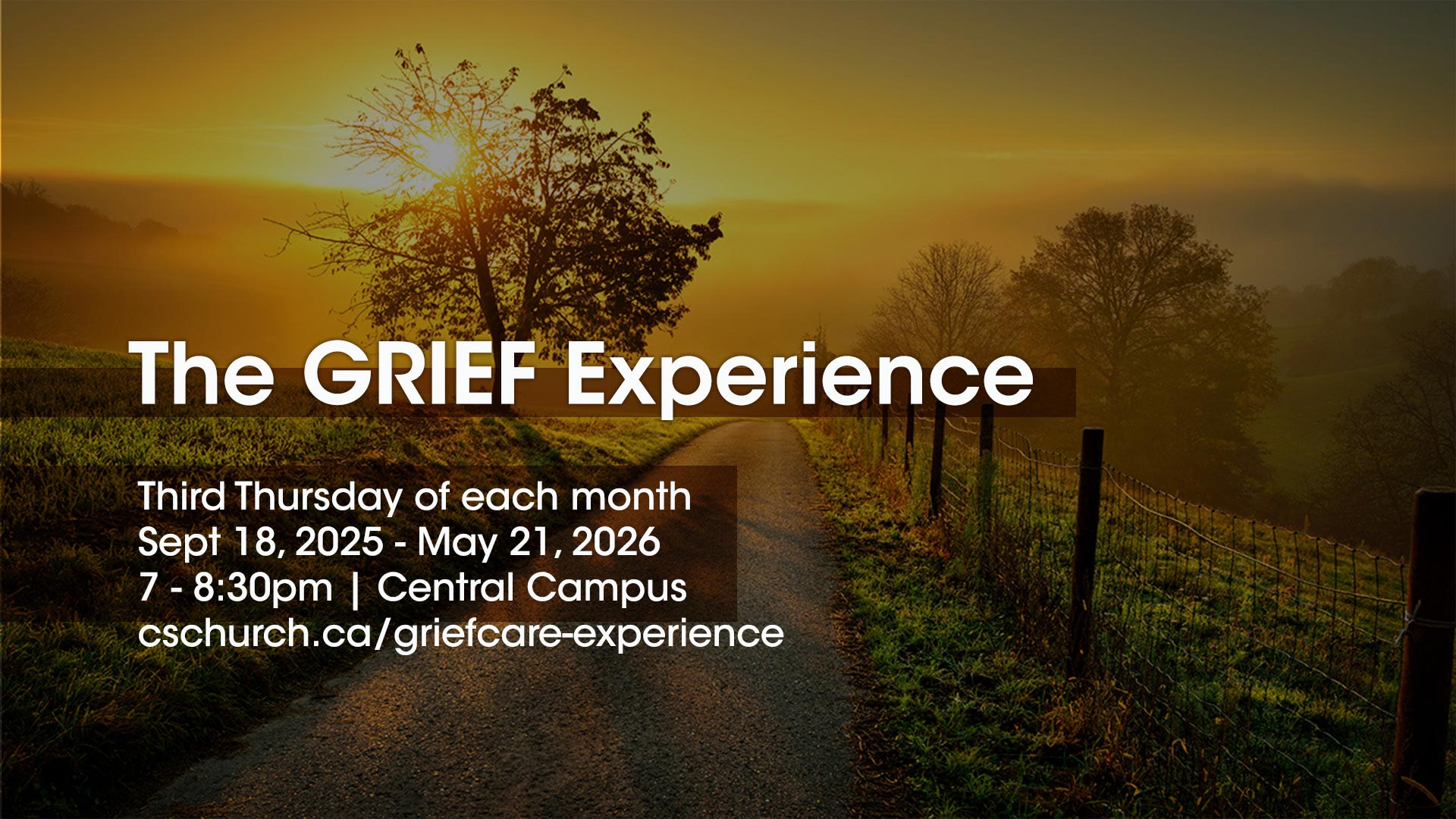 Image for The Grief Experience