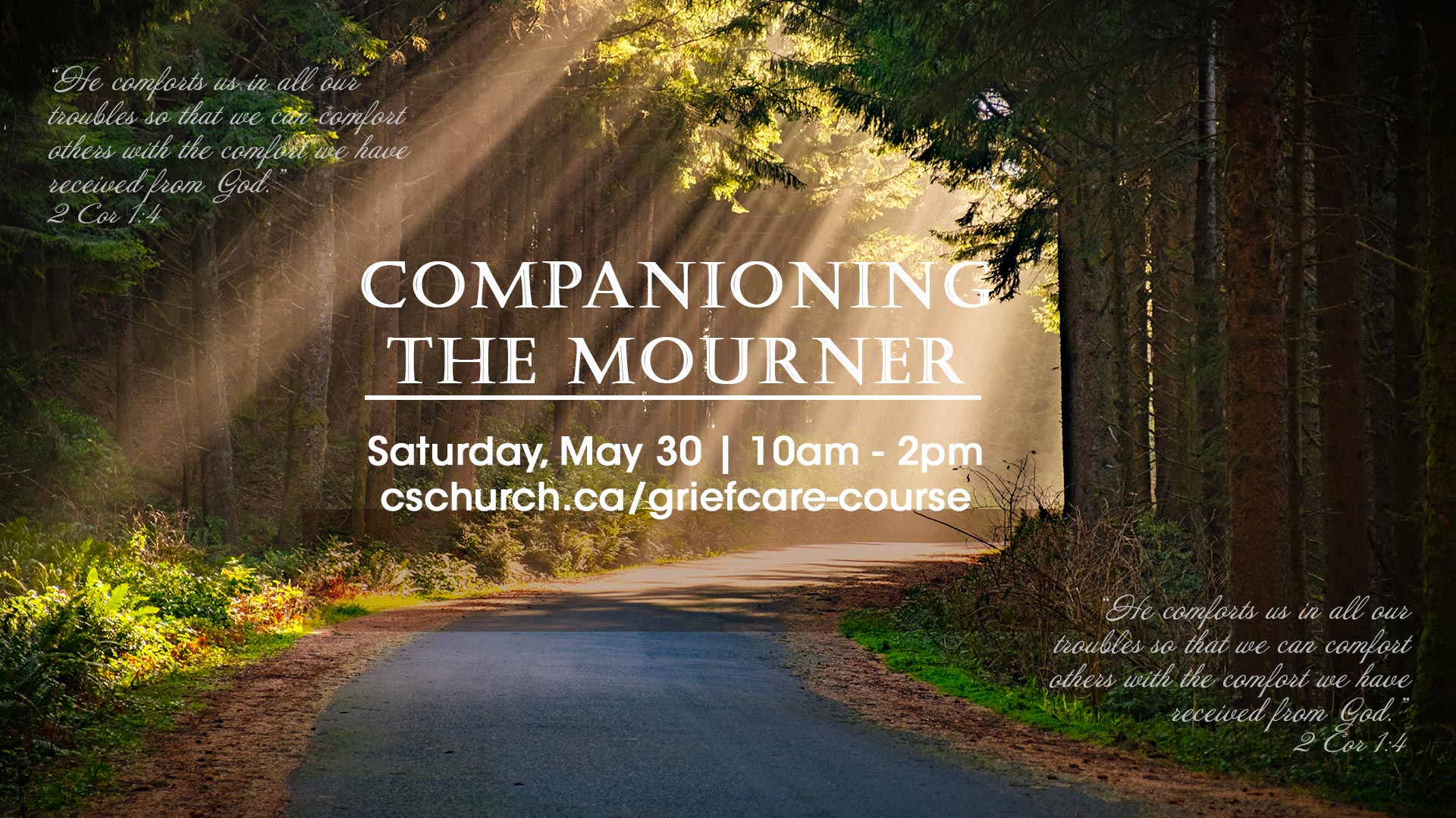 Image for Companioning the Mourner