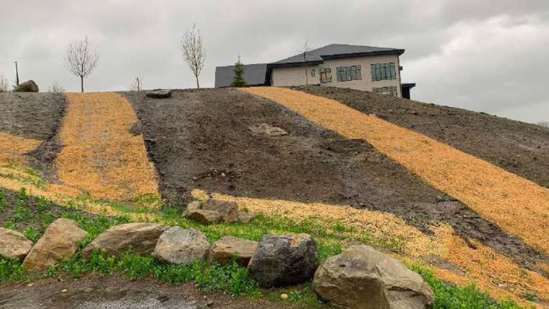 Image for July 2022 Build Update