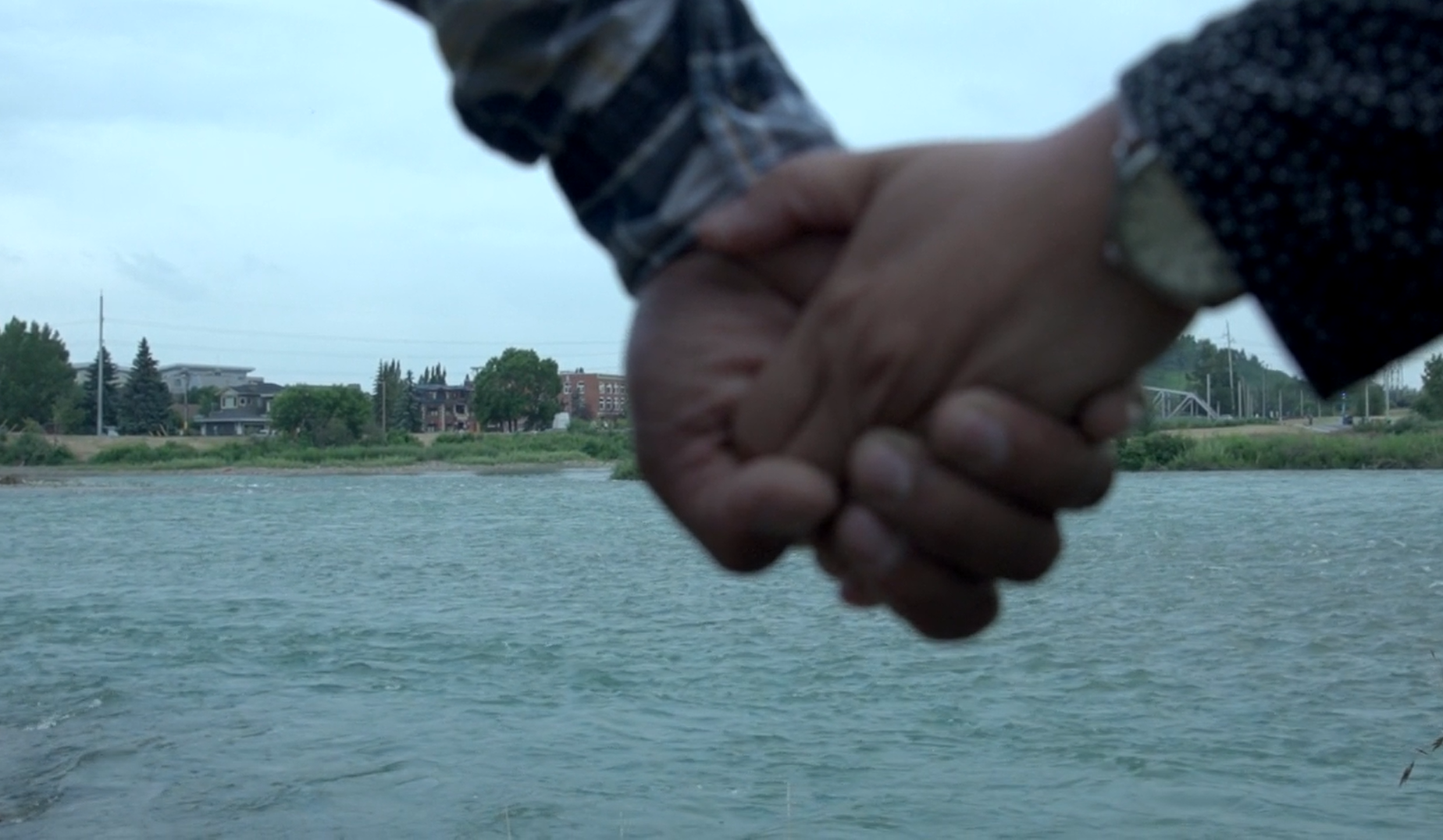 Image for The Storms