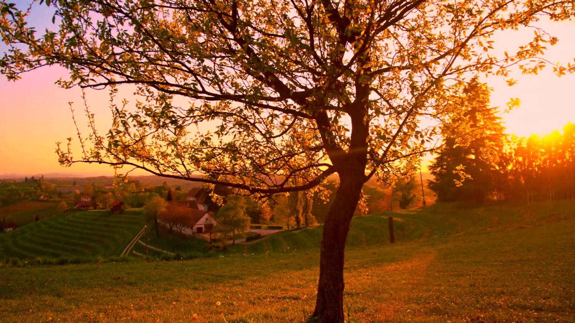 Image for Damkar Land