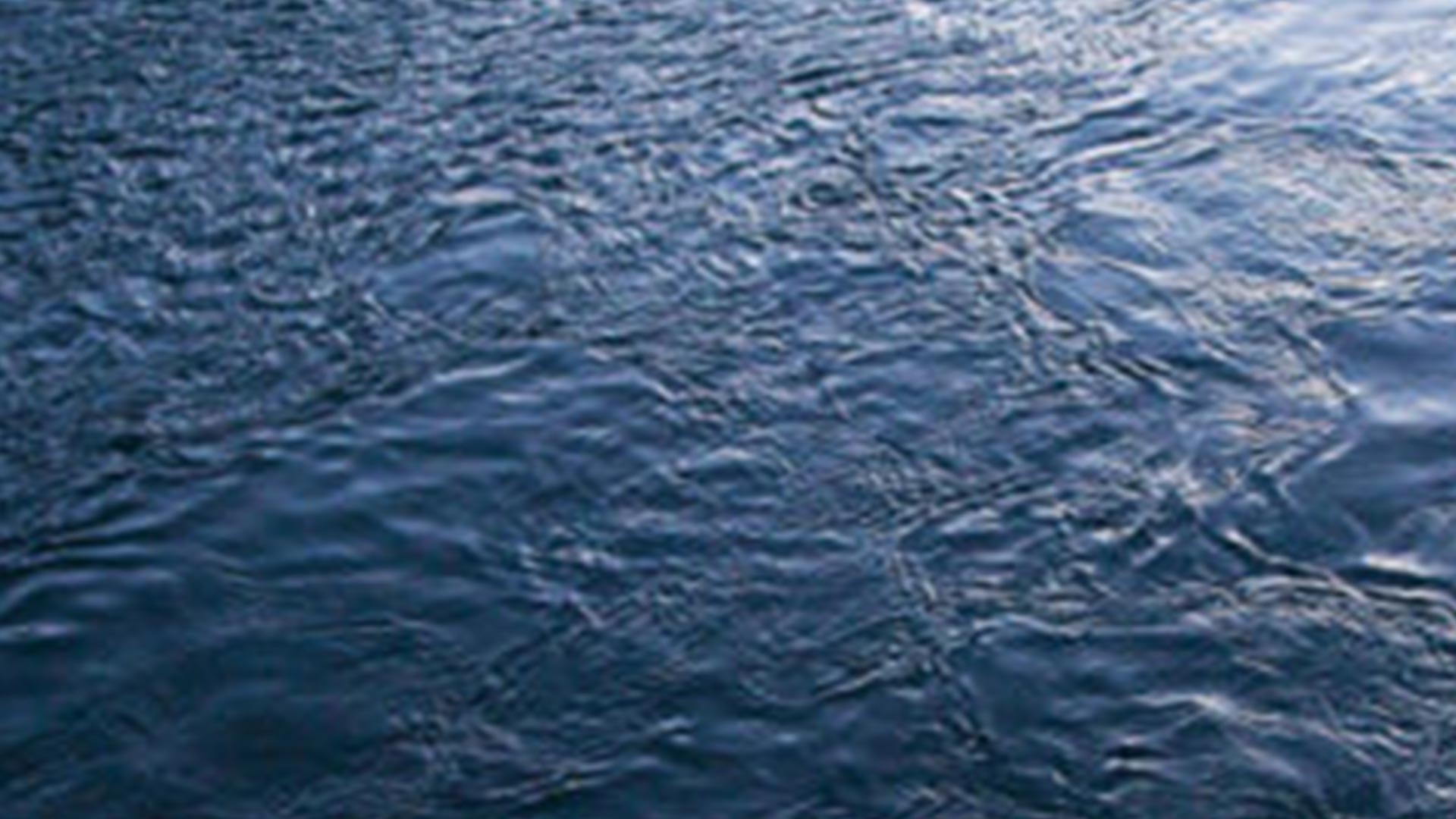 Image for Ellayna's Story